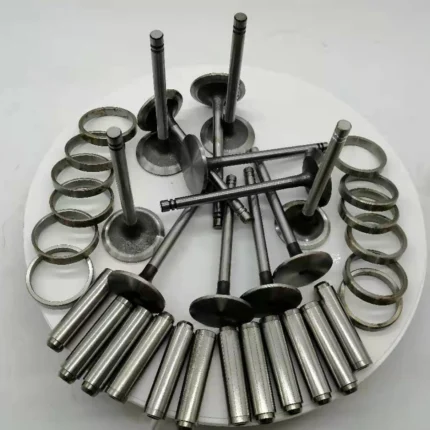 Intake & Exhaust Valve for 3306 3304 Diesel Engine Parts 1007860 1487455 Valve Guide Seat